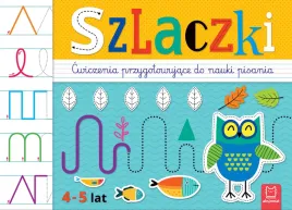 szlaczki-cwiczenia-przygotowujace-do-nauki-pisania-4-5-lat-agata-kaczynska