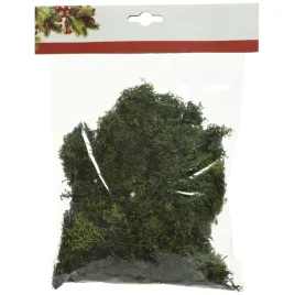 mech-dekoracyjny-naturalny-tillandsia-kaemingk-50-g