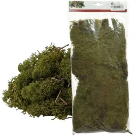 mech-dekoracyjny-naturalny-kaemingk-poduszkowy-44x22-cm