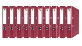 segregator-dzwigniowy-a4-55mm-karton-10-szt-bordo