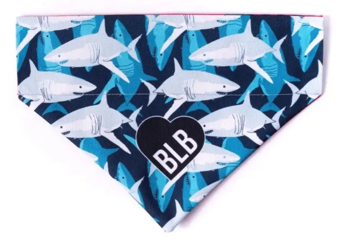 bandamka-jaws-m