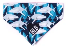 bandamka-jaws-m