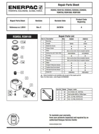zestaw-naprawczy-rsm100k50-enerpac