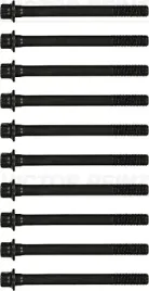 zestaw-srub-glowicy-cylindrow-reinz-14-55074-01
