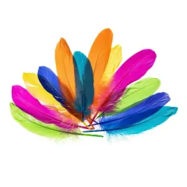 piorka-gesie-neonowe-15-20cm