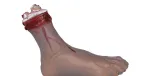 odcieta-stopa-31-cm-stan-nowy
