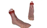 odcieta-stopa-31-cm-kod-produktu-139121