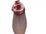 odcieta-stopa-31-cm-stan-nowy-kod-produktu-139121
