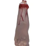odcieta-stopa-31-cm-kod-produktu-139121-stan-nowy