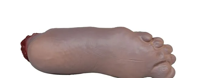 odcieta-stopa-31-cm-stan-nowy