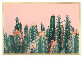 obraz-na-plotnie-kaktusy-63x93cm