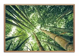 obraz-plakat-na-plotnie-przyroda-63x93cm
