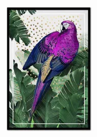 obraz-na-plotnie-fioletowa-papuga-63x93cm