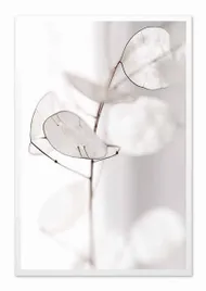 obraz-na-plotnie-bialy-kwiat-63x93cm