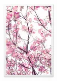 obraz-na-plotnie-kwitnace-drzewo-63x93cm