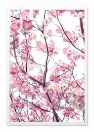 obraz-na-plotnie-kwitnace-drzewo-63x93cm