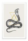 obraz-na-plotnie-kobra-waz-63x93cm