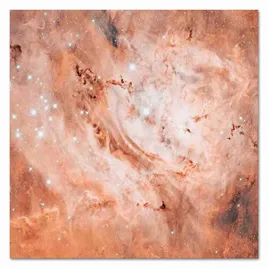 obraz-na-plotnie-rozowy-kosmos-80x80cm