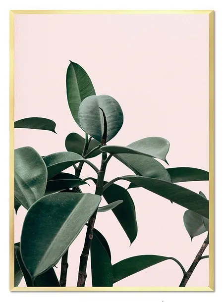 obraz-plakat-na-plotnie-przyroda-53x73cm