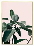 obraz-plakat-na-plotnie-przyroda-53x73cm