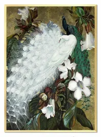 obraz-na-plotnie-bialy-paw-53x73cm