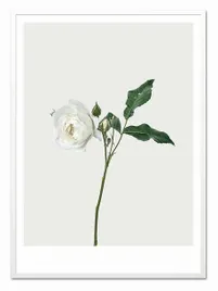 obraz-plakat-na-plotnie-przyroda-53x73cm