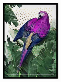 obraz-na-plotnie-fioletowa-papuga-53x73cm