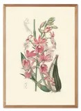 obraz-na-plotnie-dzikie-kwiaty-53x73cm