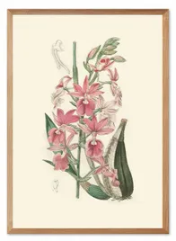obraz-na-plotnie-dzikie-kwiaty-53x73cm
