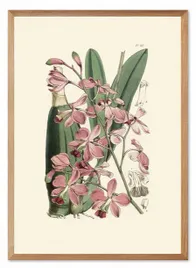 obraz-na-plotnie-dzikie-kwiaty-53x73cm
