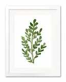 obraz-plakat-papier-33x43cm