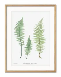 obraz-plakat-papier-33x43cm