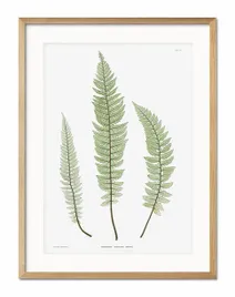 obraz-plakat-papier-33x43cm