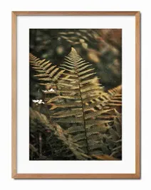 obraz-plakat-papier-33x43cm