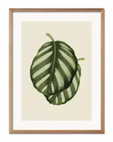 obraz-plakat-papier-33x43cm