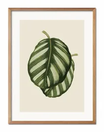 obraz-plakat-papier-33x43cm