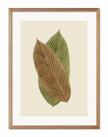 obraz-plakat-papier-33x43cm