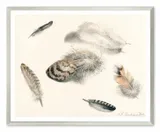 obraz-na-plotnie-ptasie-piora-43x53cm
