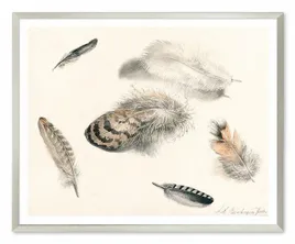 obraz-na-plotnie-ptasie-piora-43x53cm