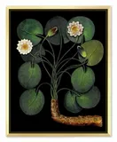 obraz-na-plotnie-kwitnaca-dzungla-43x53cm