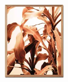 obraz-na-plotnie-suche-liscie-43x53cm
