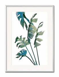 obraz-plakat-przyroda-papier-31x41cm