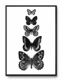 obraz-plakat-przyroda-papier-31x41cm