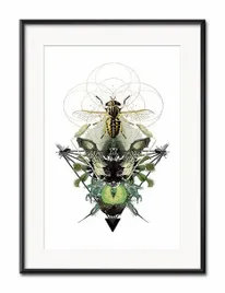 obraz-dla-botanika-owad-31x41cm