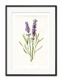 obraz-plakat-przyroda-papier-31x41cm