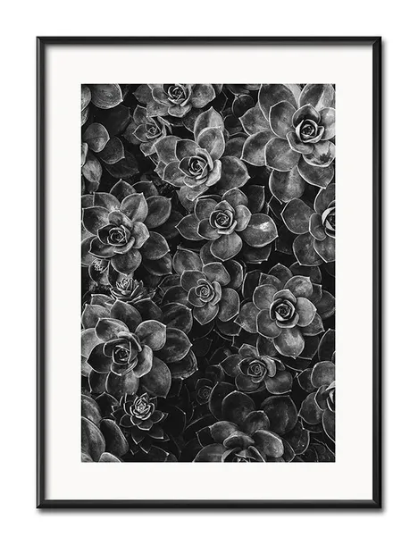 obraz-do-salonu-liscie-31x41cm