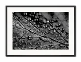 obraz-plakat-glamour-31x41cm