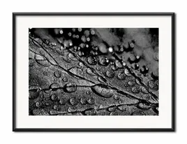 obraz-plakat-glamour-31x41cm
