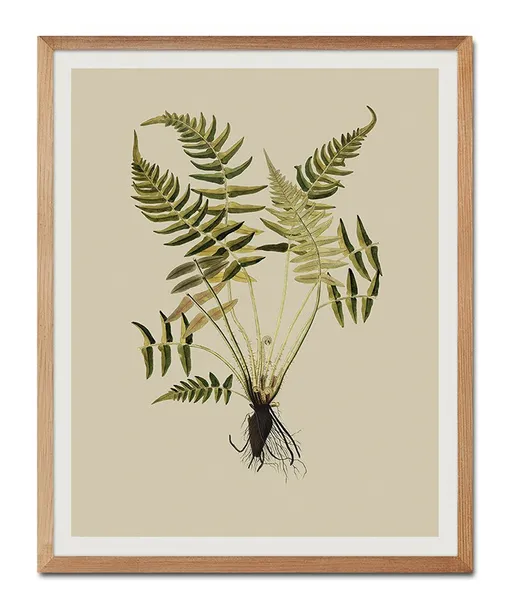 obraz-plakat-na-plotnie-przyroda-43x53cm