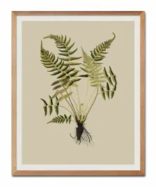 obraz-plakat-na-plotnie-przyroda-43x53cm